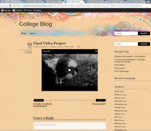 wordpress-with-video-screenshot